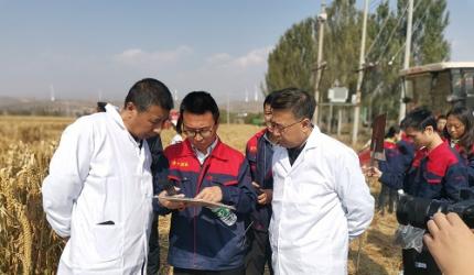 10月11山西繁峙无人驾驶联合收获机收获试验