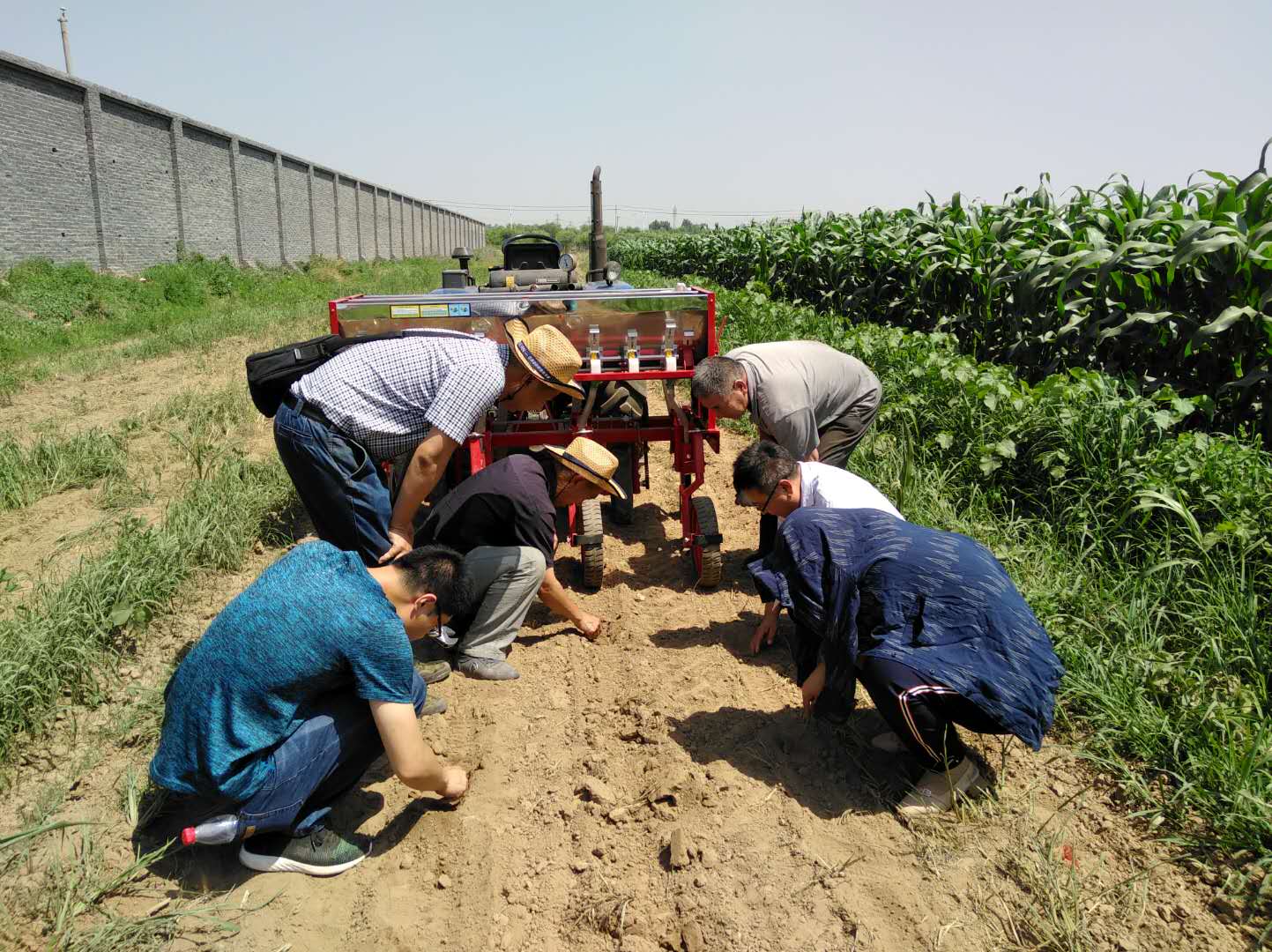 谷子播种机|高粱播种机|谷子机械|高粱机械|谷子高粱体系--河北农研所